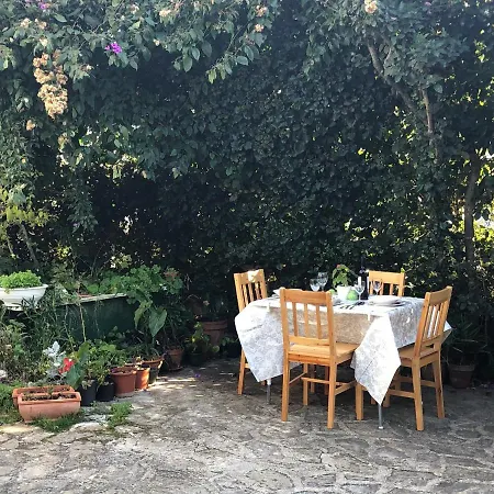 In Villa, Big Garden, Private Pool, Close To And Town 자다르