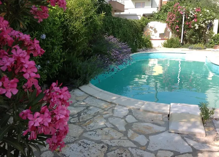 In Villa, Big Garden, Private Pool, Close To And Town 아파트 자다르
